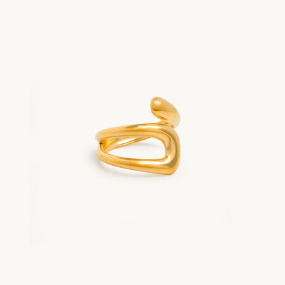 ARIEL Ring-0