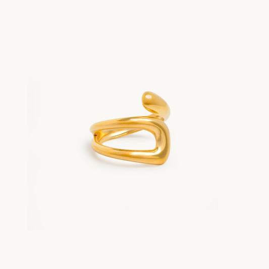 ARIEL Ring-0